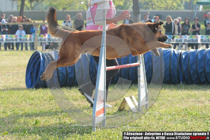IMGB2006.JPG