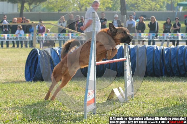 IMGB2009.JPG