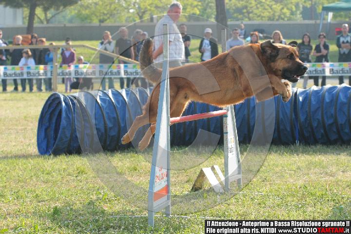 IMGB2010.JPG