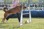 IMGB2005