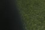 IMGB7293