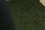 IMGB7368