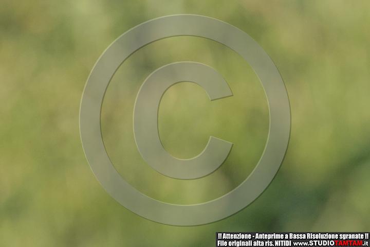 IMGB0714.JPG