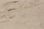 IMGB6882