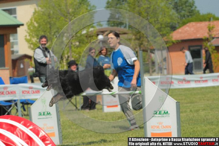 IMGB4630.JPG