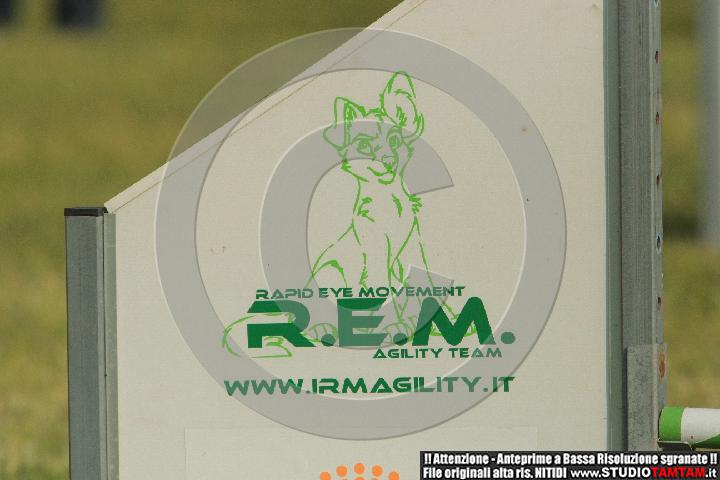 IMGB6529.JPG