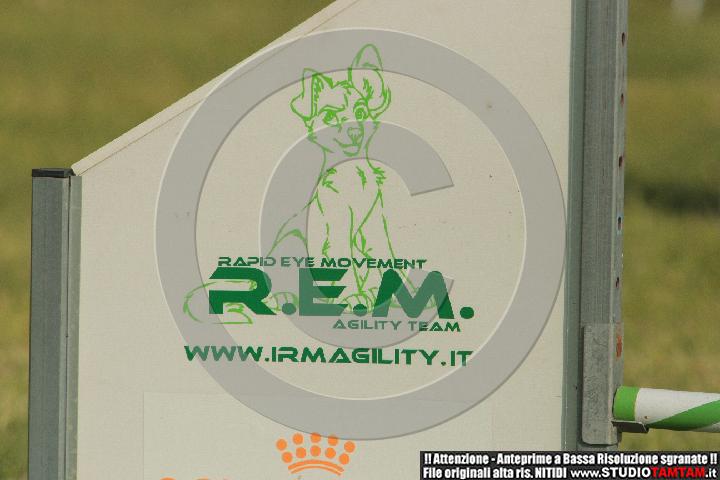 IMGB6549.JPG