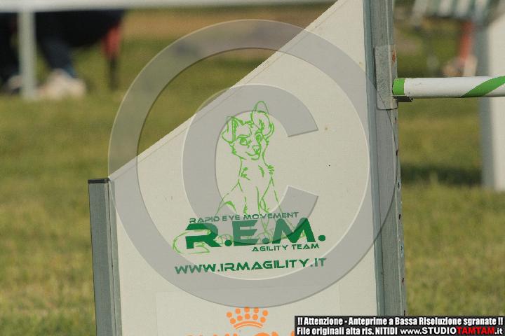IMGB6745.JPG