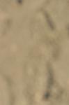 IMGB3093