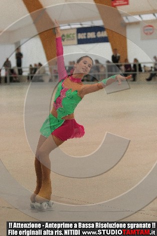 IMGB2241.jpg