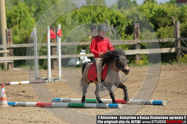 IMGB2201.JPG