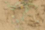 IMGB4172