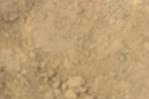 IMGB4253