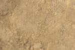 IMGB4254