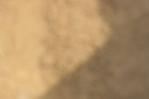 IMGB4277