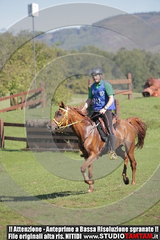 _MG_9550.JPG