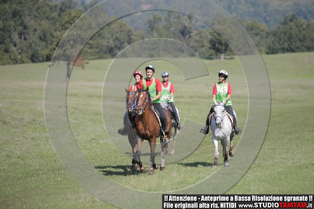 _MG_9626.JPG