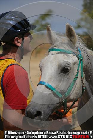 _MG_8793.JPG