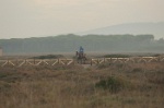 IMGB6140