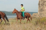 IMGB6687