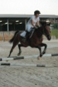 IMGB4408