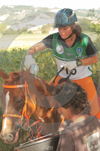 IMGB4767.JPG