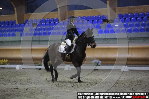 _MG_9517.JPG