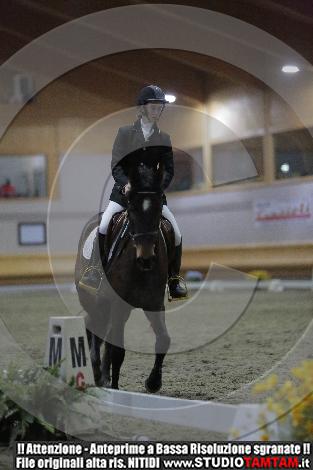 _MG_9529.JPG