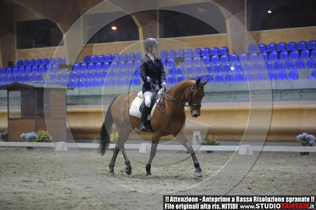 _MG_9590.JPG