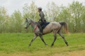 IMGB8345