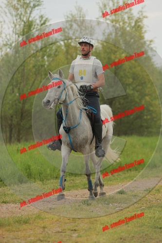 IMGB8631.JPG