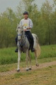 IMGB8511