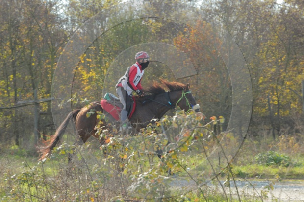 MAT_6315.JPG