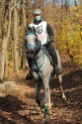 IMGB2495