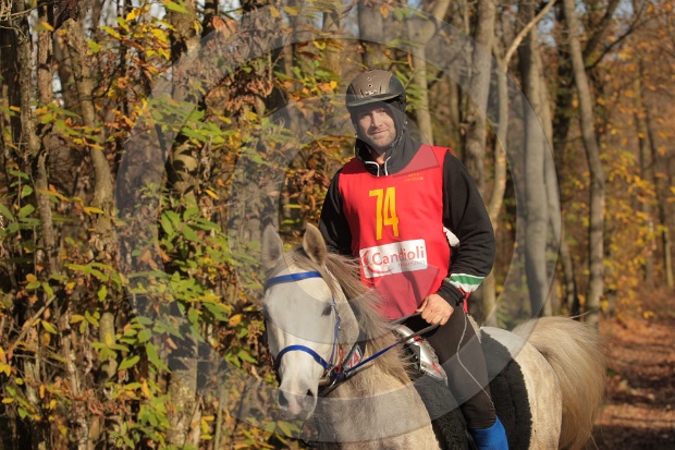 IMGB2382.JPG