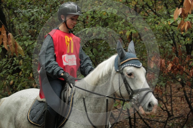 IMGB2852.JPG
