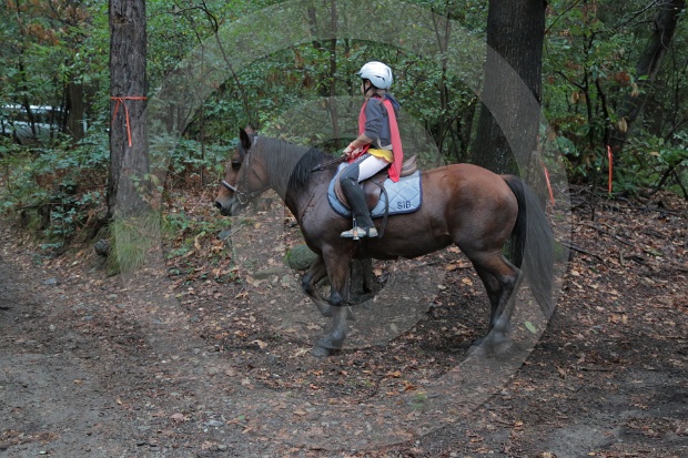 MAT_6515.JPG