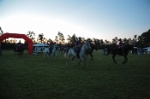 MAT_8378
