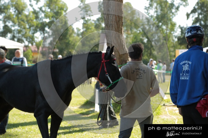 MAT_9575.JPG