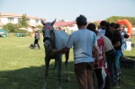 MAT_9577