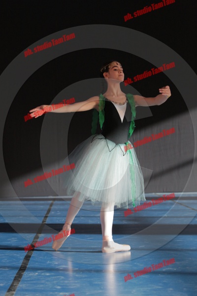 MAT_8300.JPG