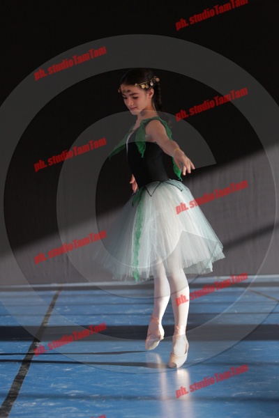 MAT_8303.JPG