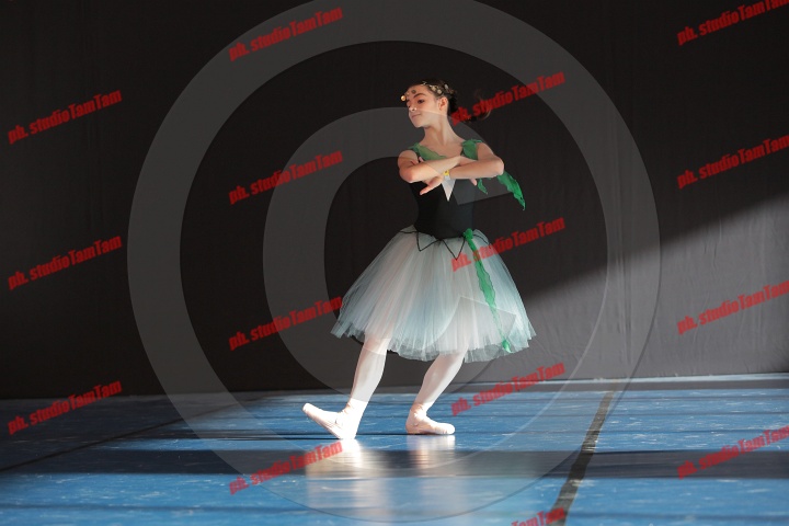 MAT_8306.JPG