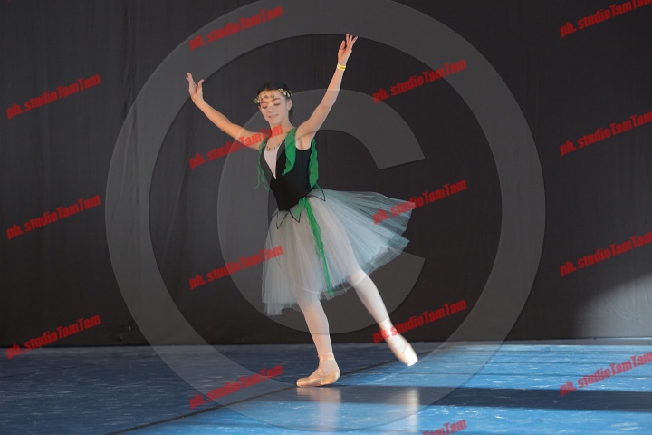 MAT_8308.JPG