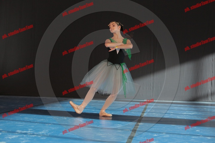 MAT_8310.JPG