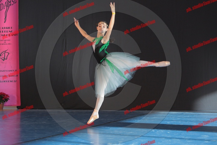 MAT_8311.JPG