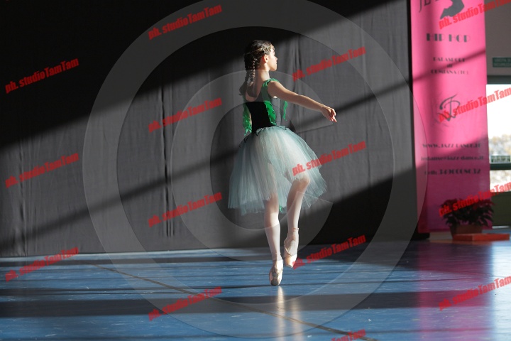 MAT_8312.JPG