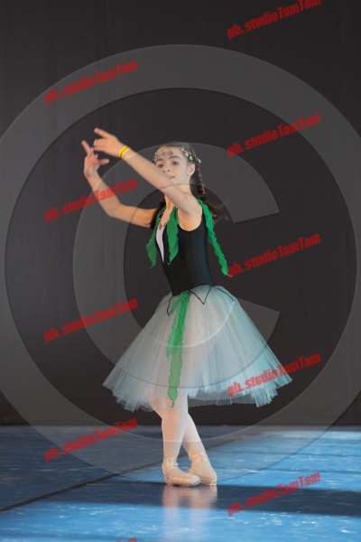 MAT_8316.JPG
