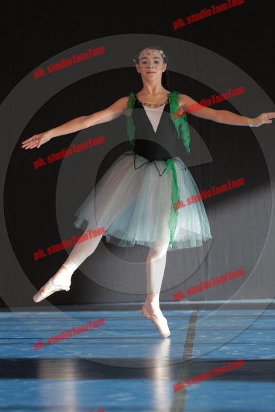 MAT_8322.JPG