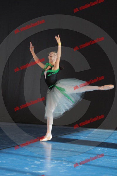 MAT_8336.JPG